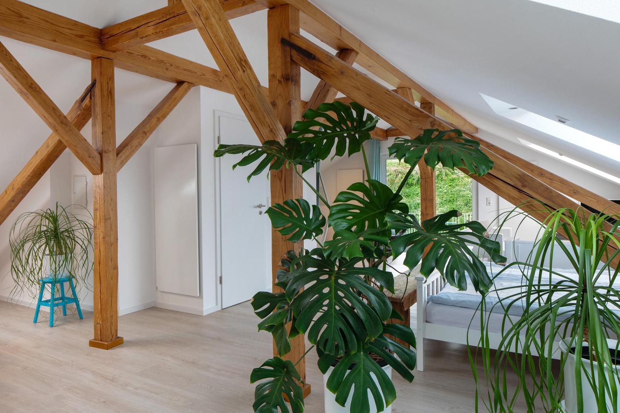 Ferienhaus Engelsberghof Endingen am Kaiserstuhl ภายนอก รูปภาพ