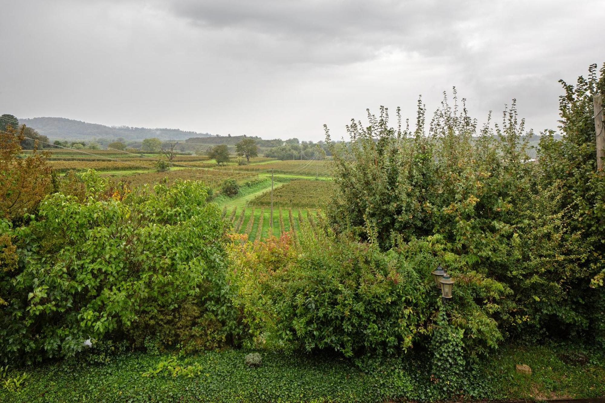 Ferienhaus Engelsberghof Endingen am Kaiserstuhl ภายนอก รูปภาพ
